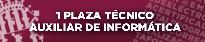 PLAZA TÉCNICO AUXILIAR DE INFORMÁTICA